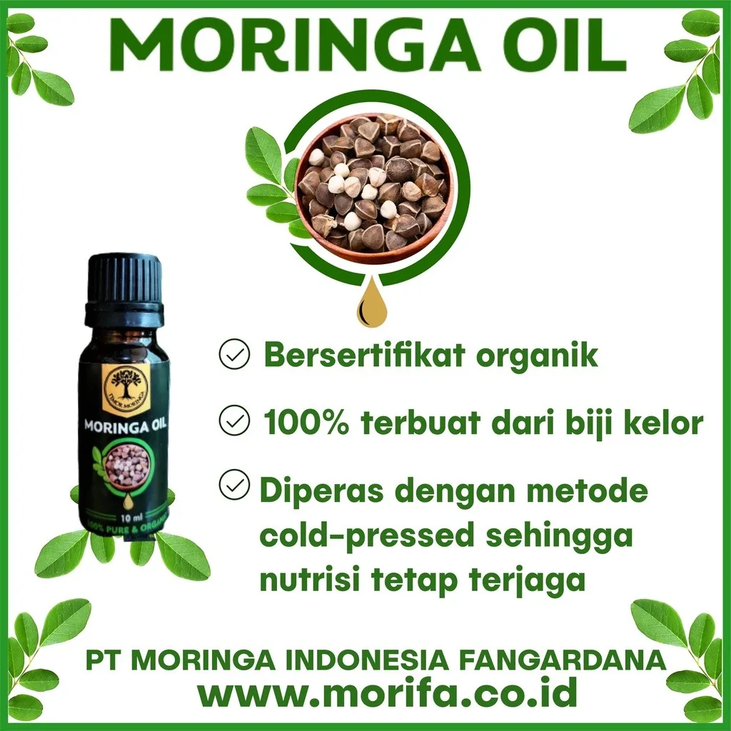 Minyak biji kelor TIMOR MORINGA®